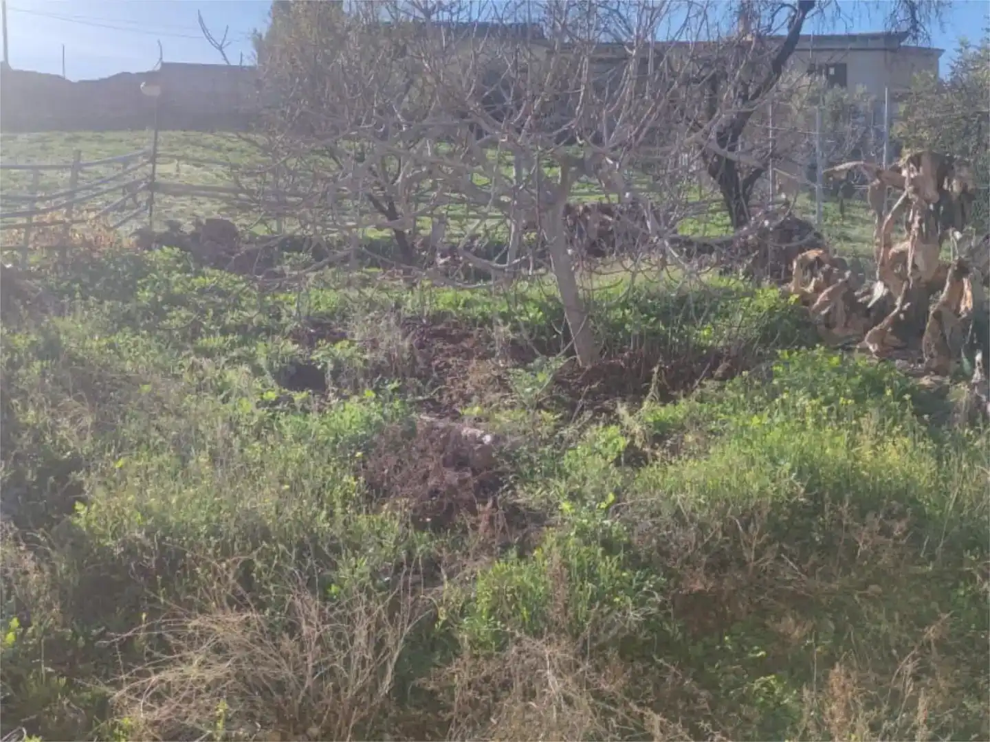 Finca rústica en venda en Peal de Becerro