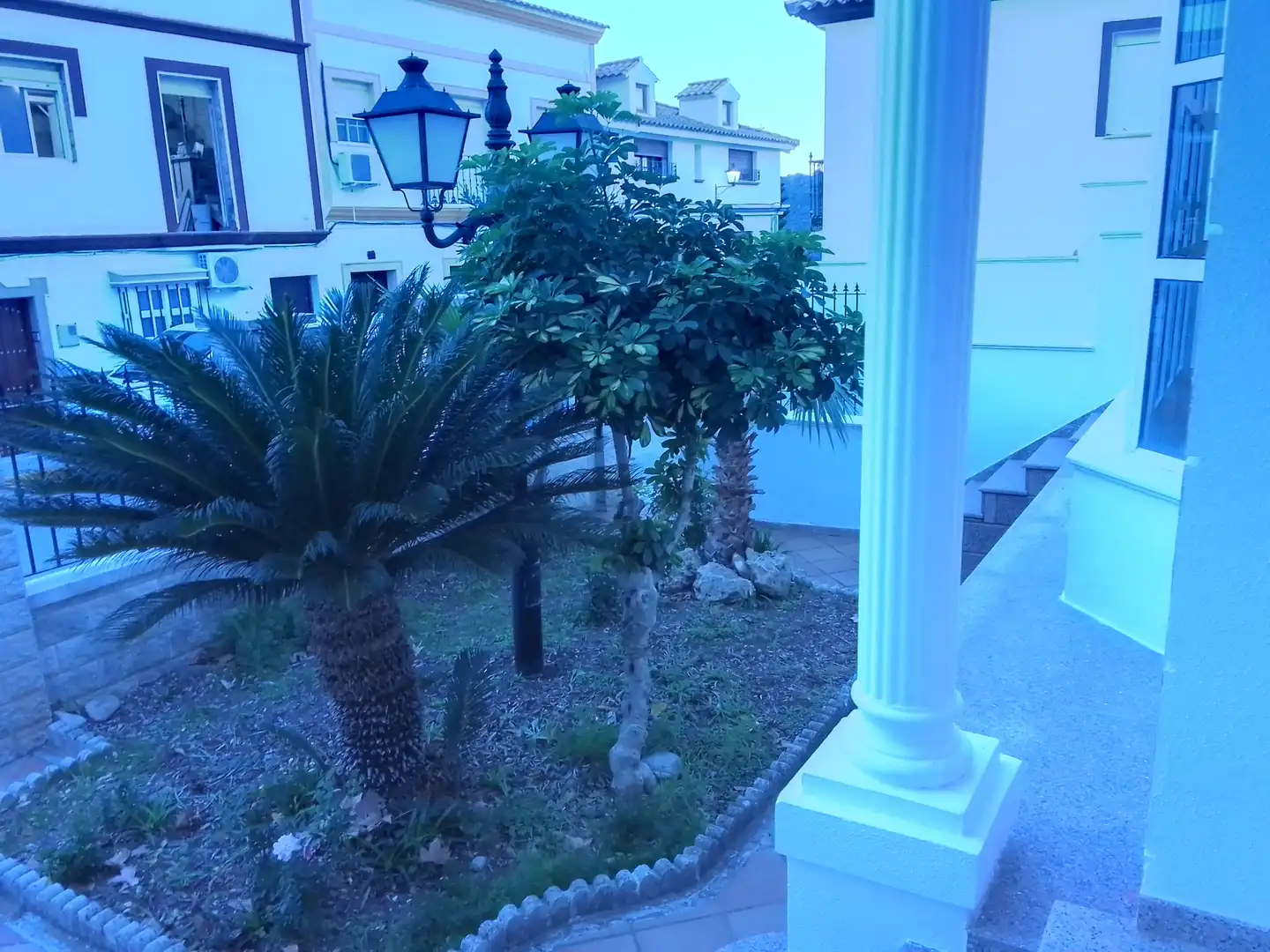 Jardín de Casa o chalet en venta en Prado del Rey con Jardín privado, Terraza y Amueblado