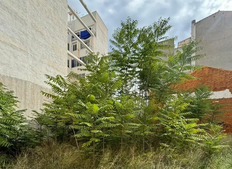 Terreny residencial en venda a Sur, imagen 11