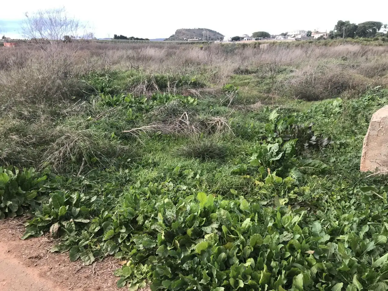 Lands and plots for sale in Corralet - Bonanza - Tres Rutas, imagen 5