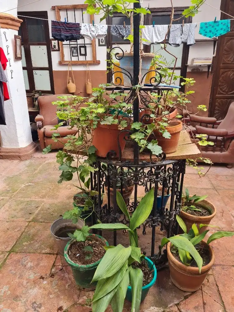 Inmuebles singulares en venta en Calle Ríos Rosas, imagen 10