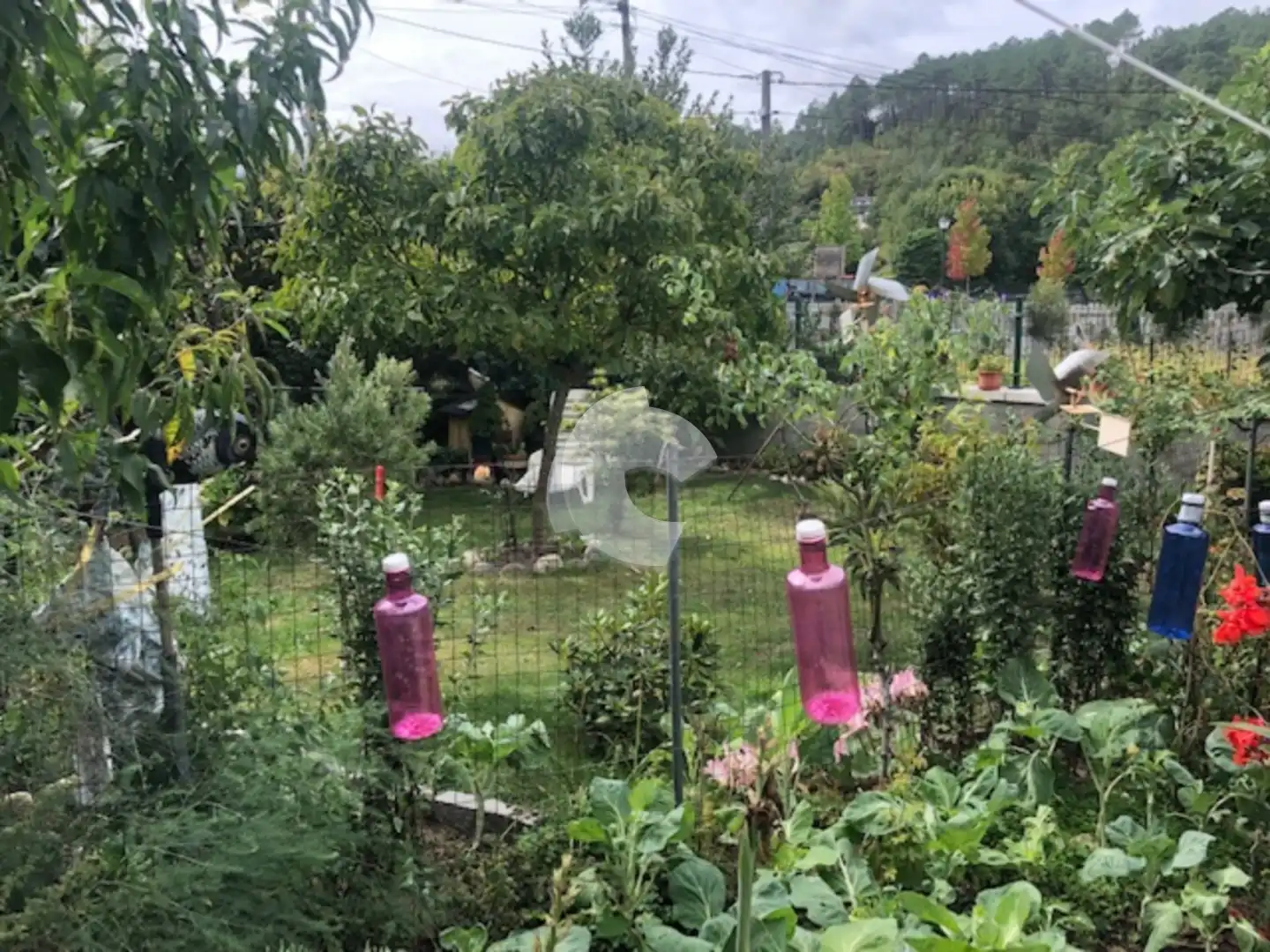 Jardín de Casa o chalet en venta en Lobios con Jardín privado
