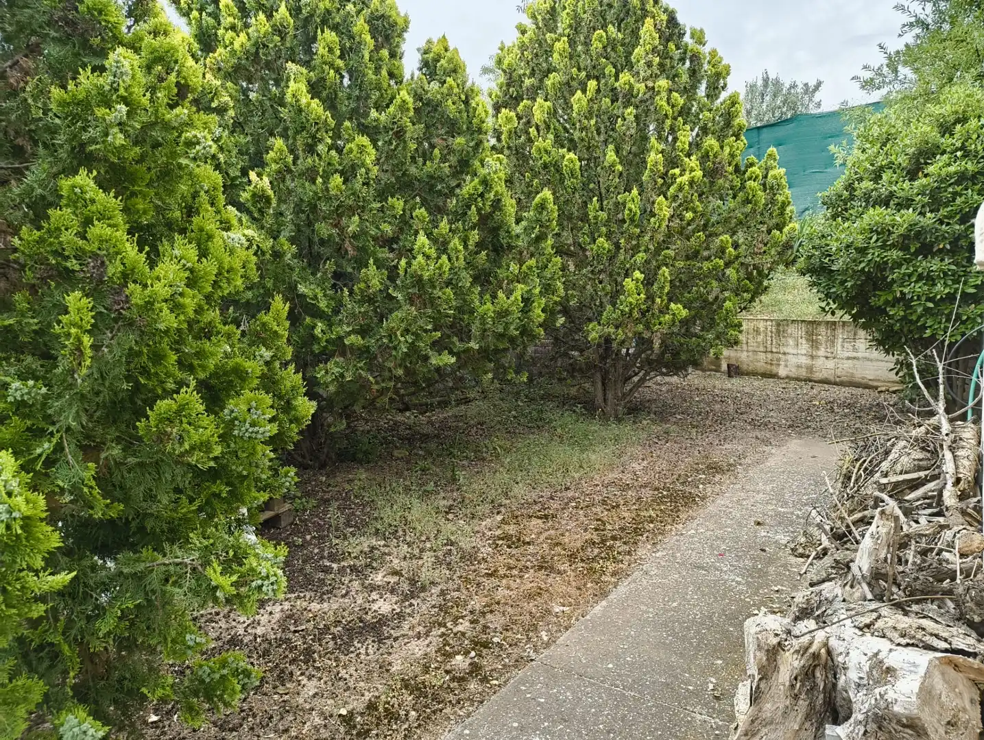 Terreno rustico in vendita a Calahorra, imagen 29