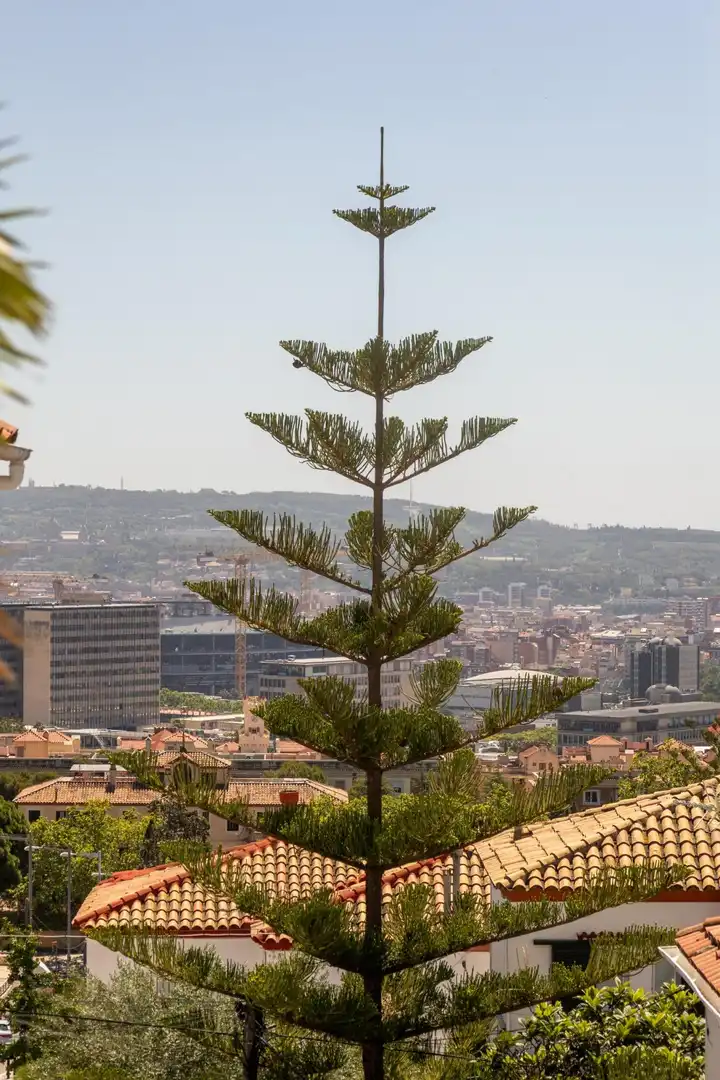 Vista exterior de Casa o chalet de alquiler en Barcelona con Calefacción, Parquet y Terraza