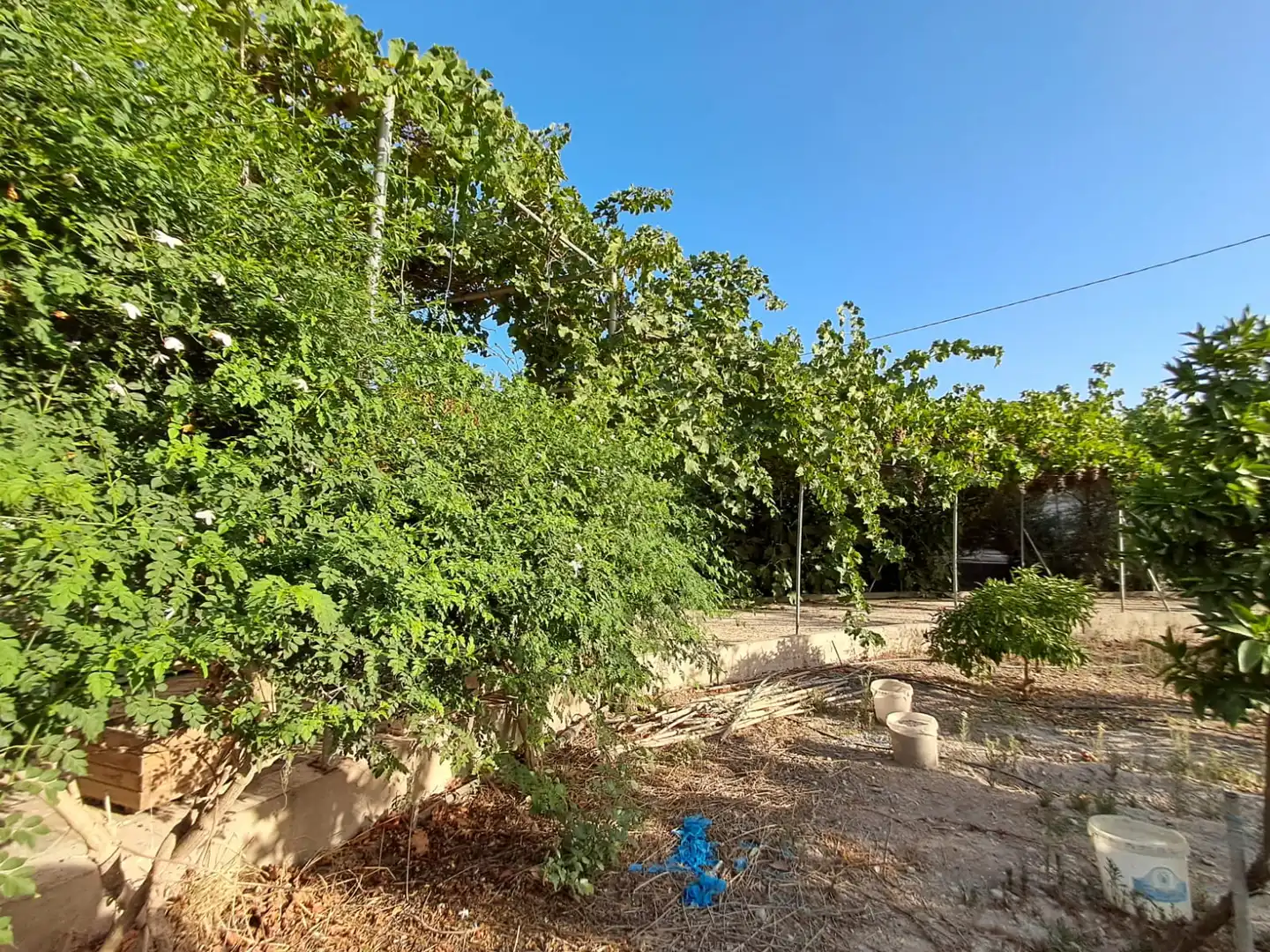 Finca rústica en venta en Berja