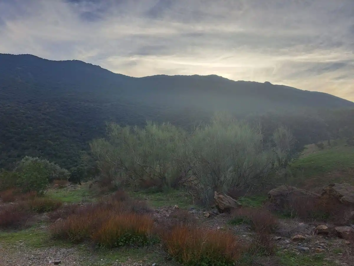 Finca rústica en venta en Villar del Pozo