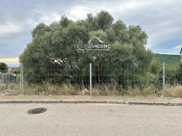 Terreno rustico in vendita a Iuca
