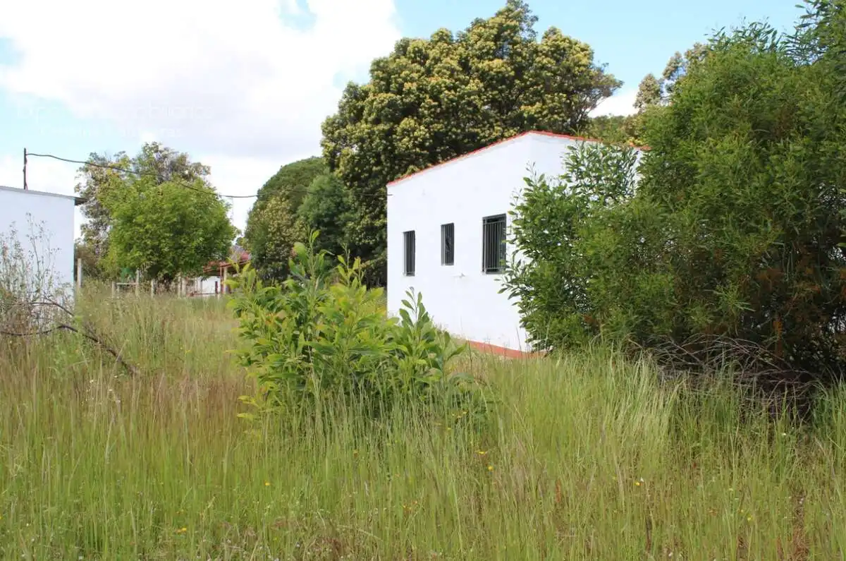 Finca rústica en venda en Almonte amb Traster i Moblat