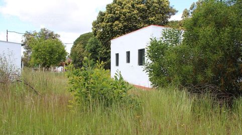 Foto 2 de Finca rústica en venda a Almonte ciudad, Almonte