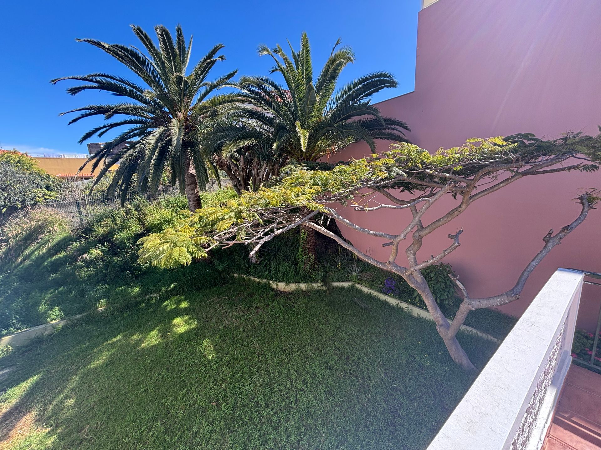 Jardín de Casa o chalet en venta en San Cristóbal de la Laguna con Jardín privado, Terraza y Balcón