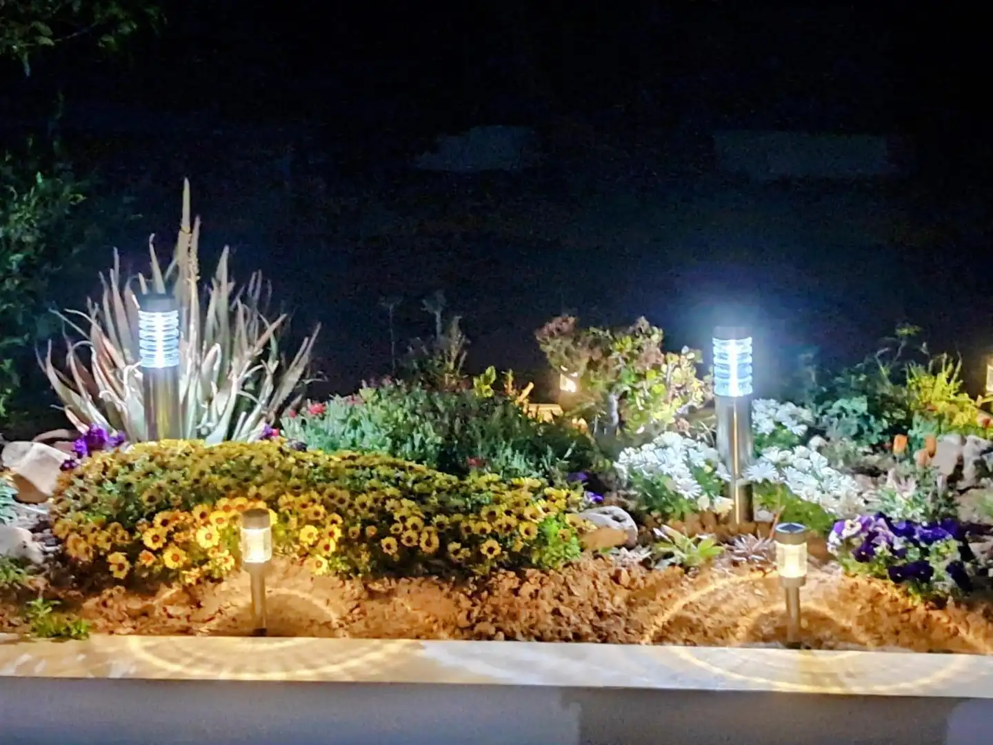 Jardí de Casa o xalet en venda en Elche / Elx amb Aire condicionat, Jardí privat i Terrassa