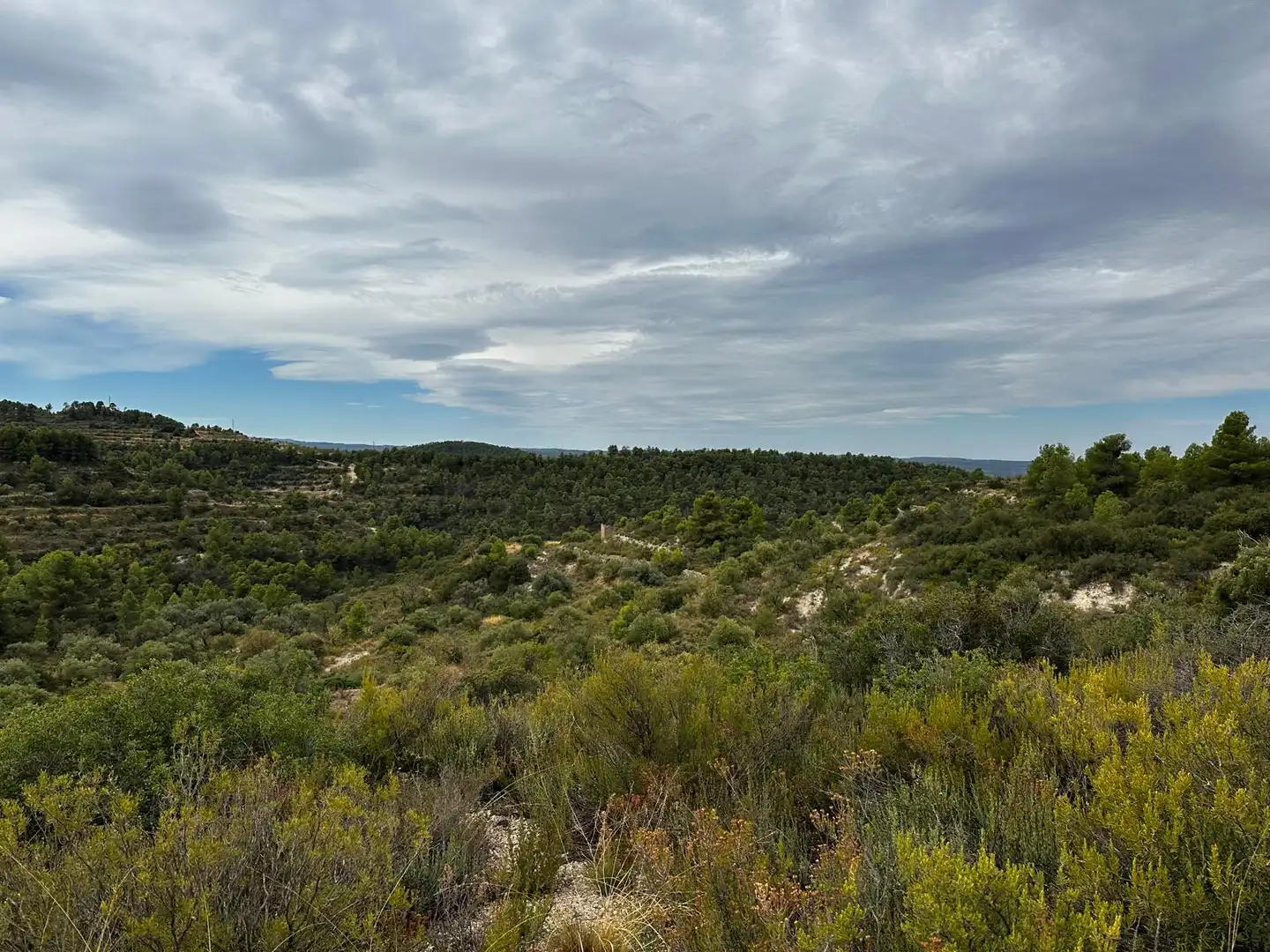 Terreny rústic en venda a Cervià de Les Garrigues, imagen 14