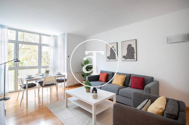 Piso en Alquiler en Carrer del Torrent de l'Olla en Vila de Gràcia