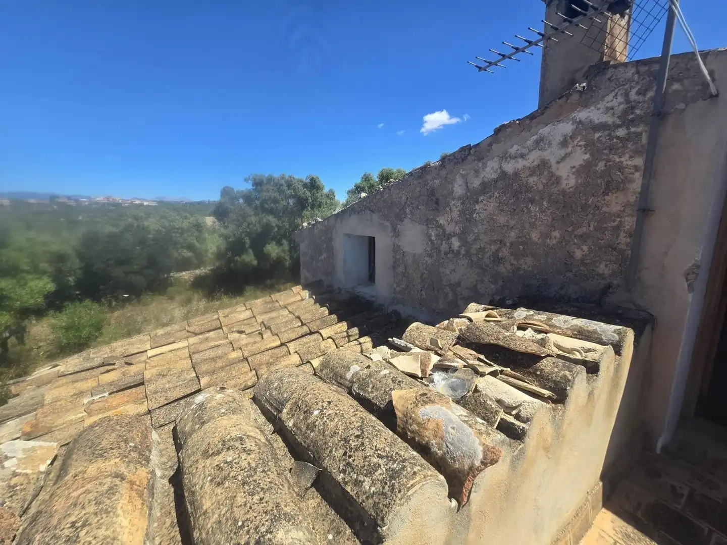Vista exterior de Finca rústica en venta en Marratxí con Terraza