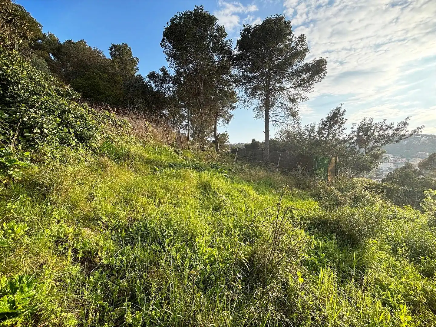 Terreno residencial en venta en Canyelles, imagen 19
