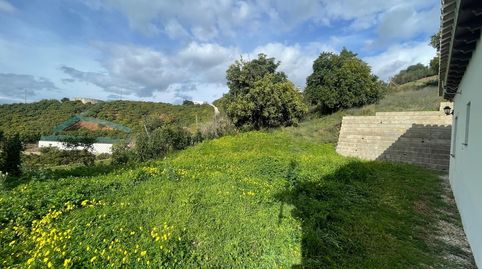 Foto 5 de Finca rústica en venta en Almayate, Vélez-Málaga