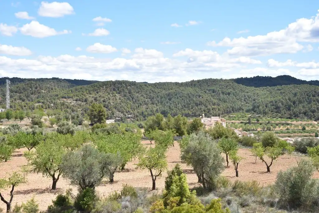 Terreni e lotti in vendita a Arens de Lledó, imagen 11