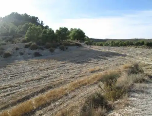 Terrains et parcelles à vendre à Lg Castañeda y Umbrías de La Pinosa, Pol 313, imagen 11