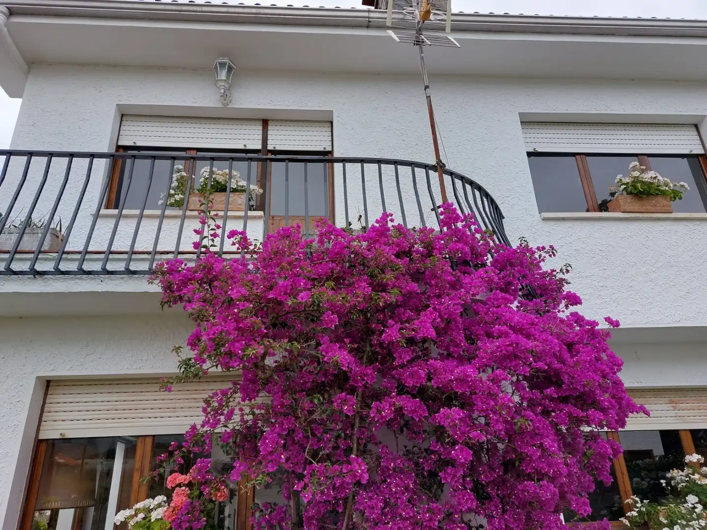 Casa con giardino in vendita a Celorio - Poó - Parres, imagen 11