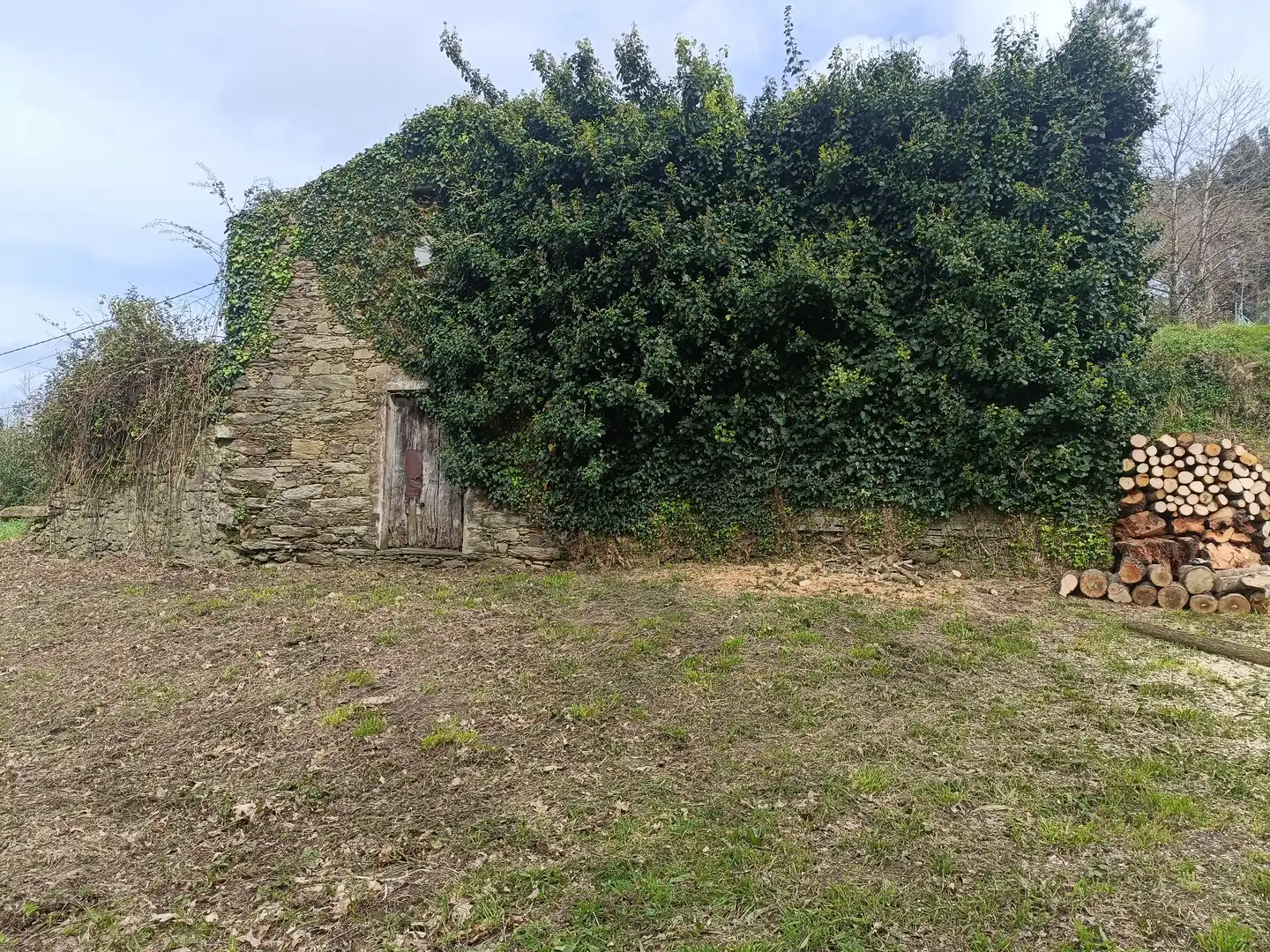 Maison avec jardin à vendre à Lugar Castelo, imagen 15