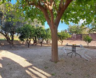 Jardí de Finca rústica en venda en Molina de Segura amb Jardí privat i Terrassa