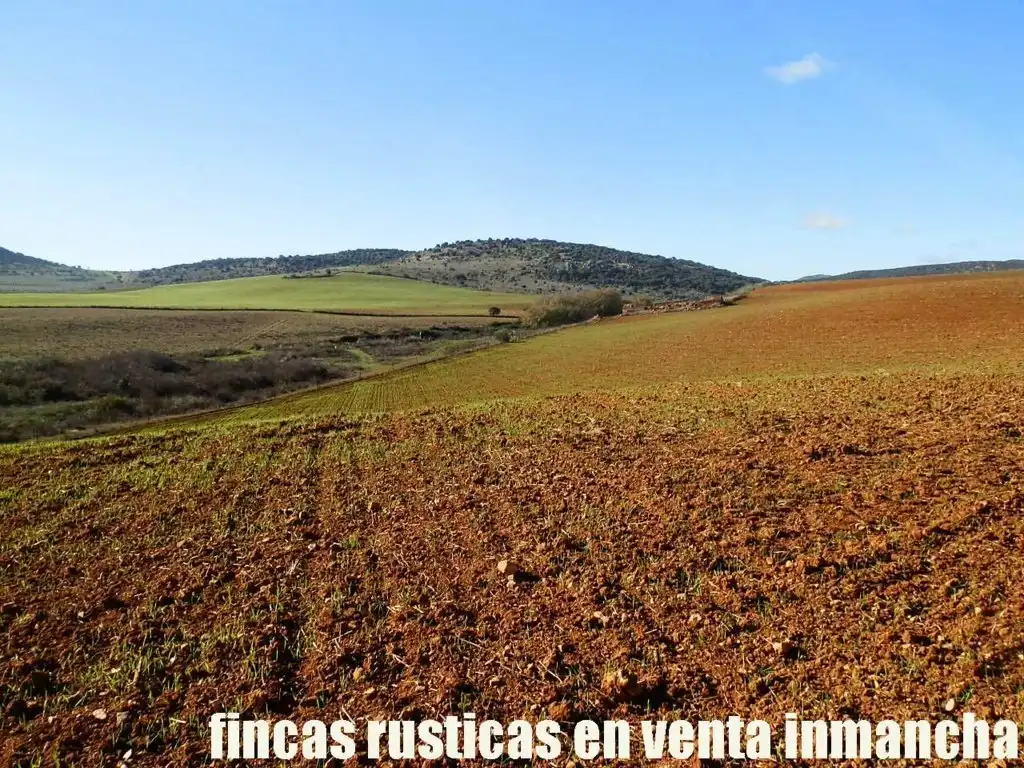 Terreno rustico in vendita a Centro - Plaza Mayor, imagen 6