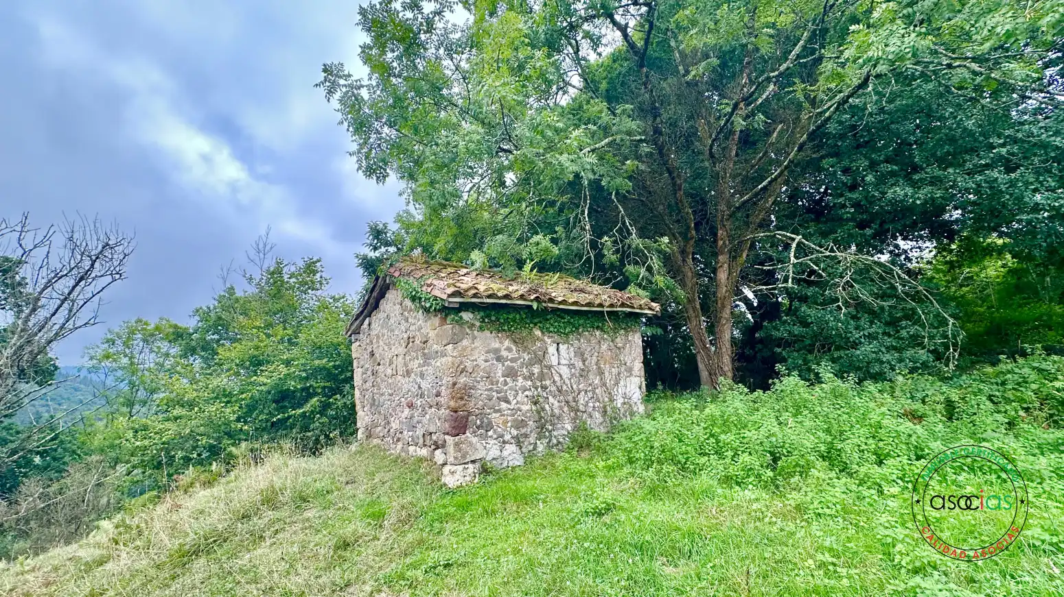 Terreno rustico in vendita a Cabranes - TORAZO, imagen 3