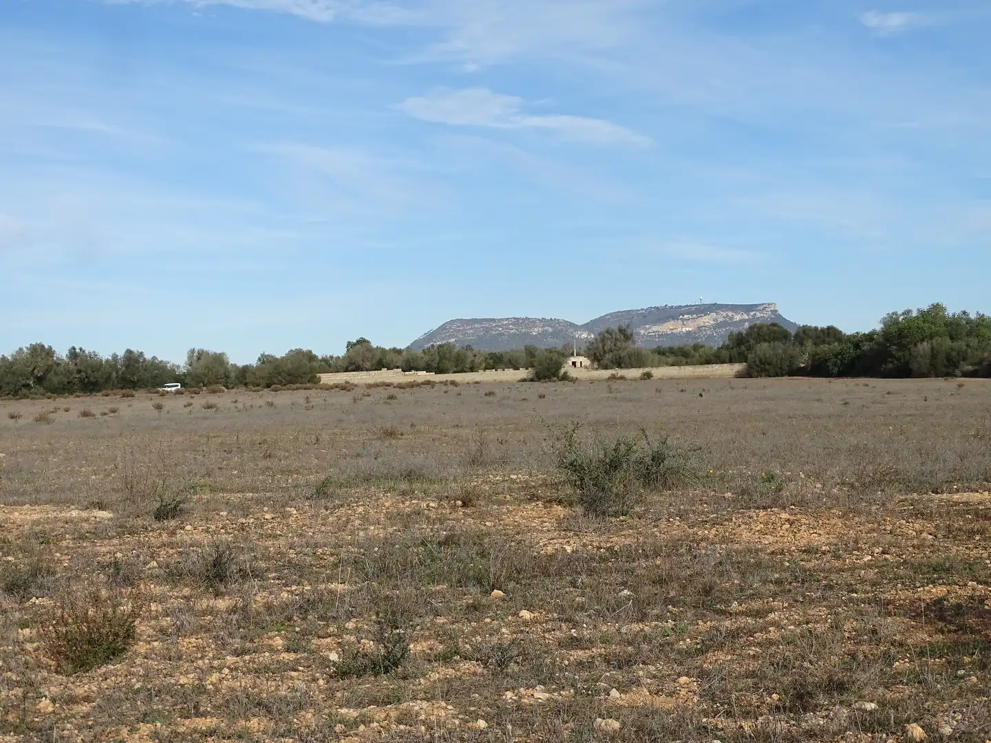Terreno rustico in vendita a Llucmajor pueblo, imagen 2