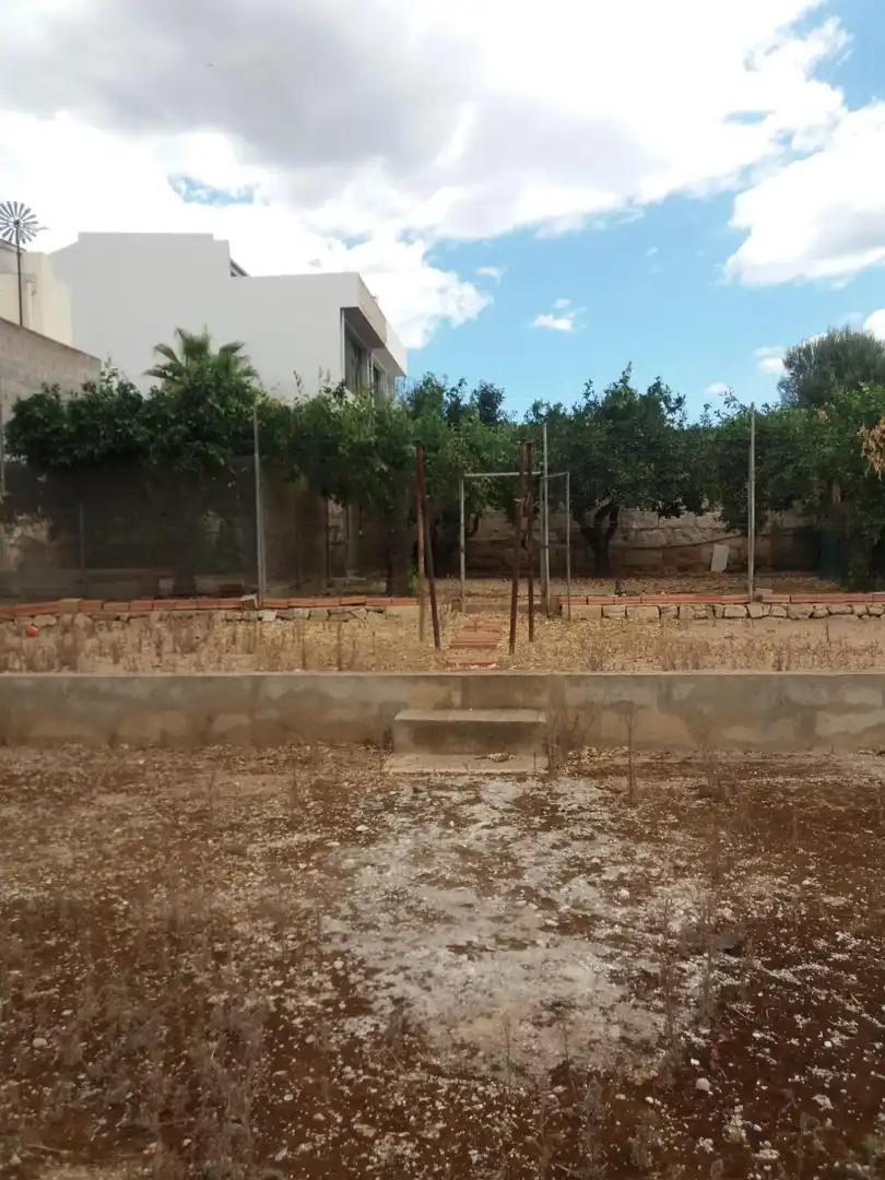 Lands and plots for sale in Sa Pobla, imagen 21