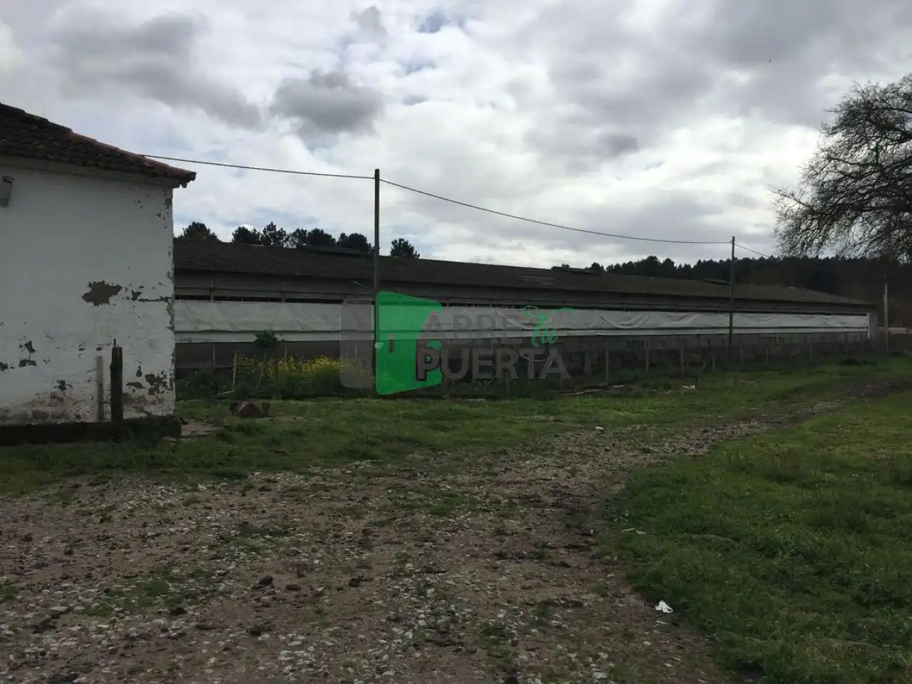 Xalet amb jardí en venda a O Pereiro de Aguiar, imagen 11
