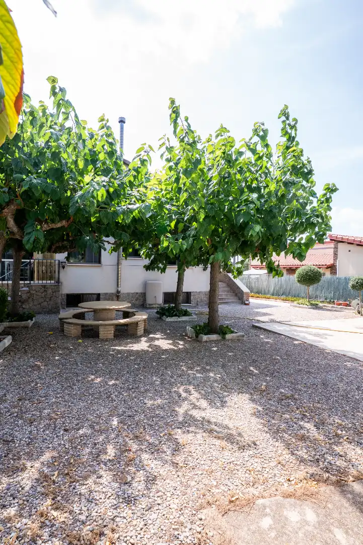 Jardí de Casa o xalet en venda en Vallmoll amb Calefacció, Jardí privat i Terrassa