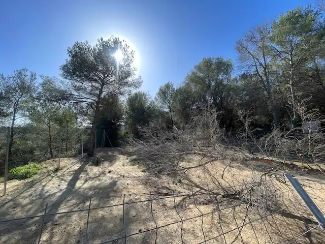 Rural land for sale in Albalat dels Tarongers, imagen 11