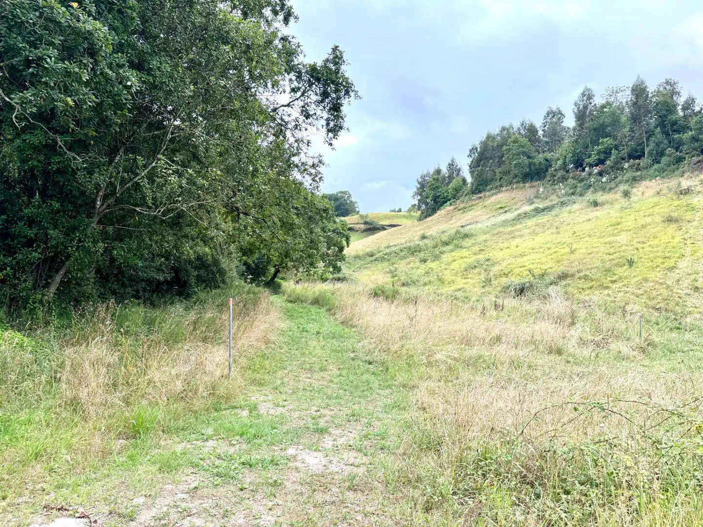 Terreno en venta en Villaviciosa