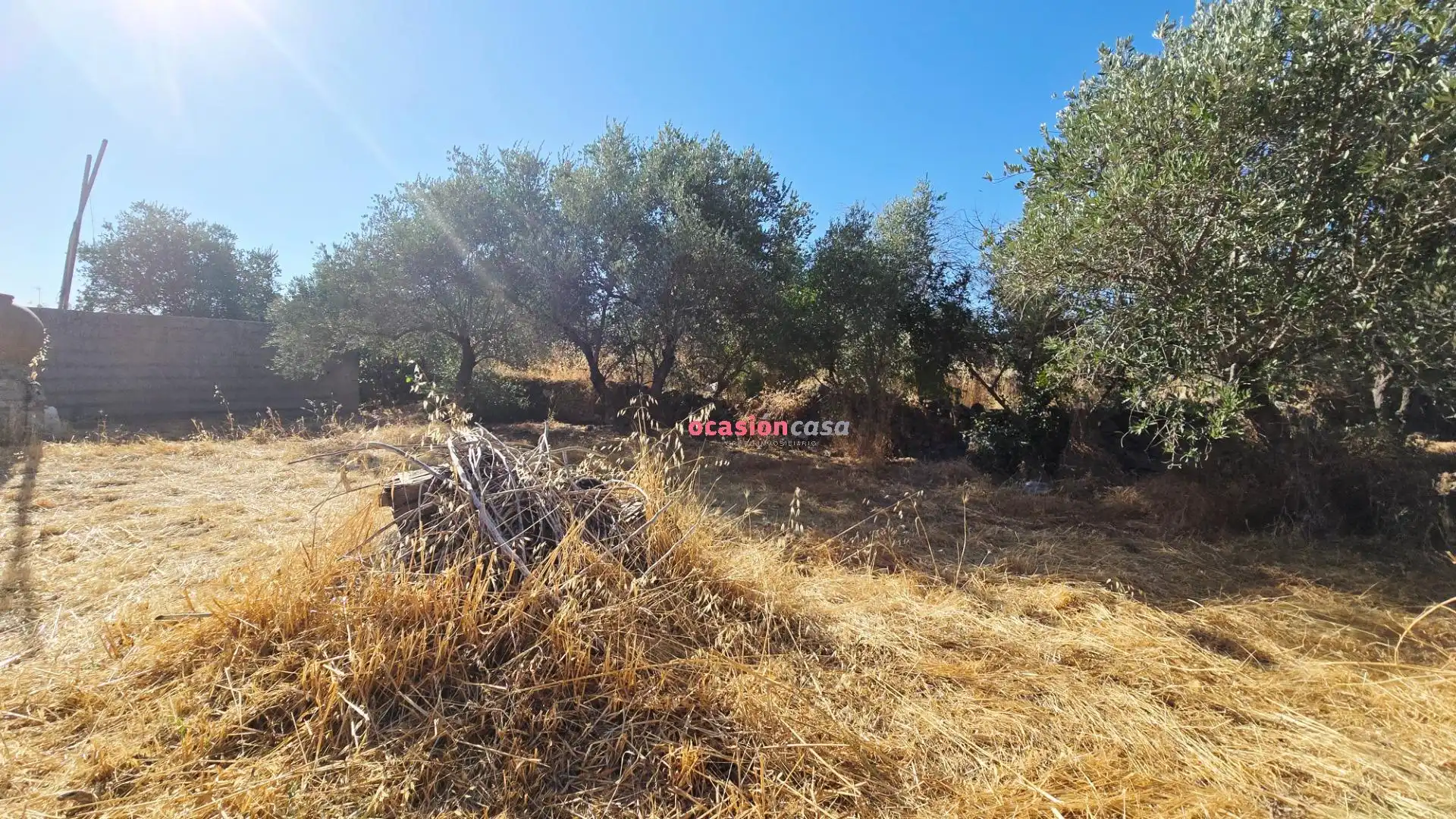 Casa en venta en Alcaracejos, imagen 22