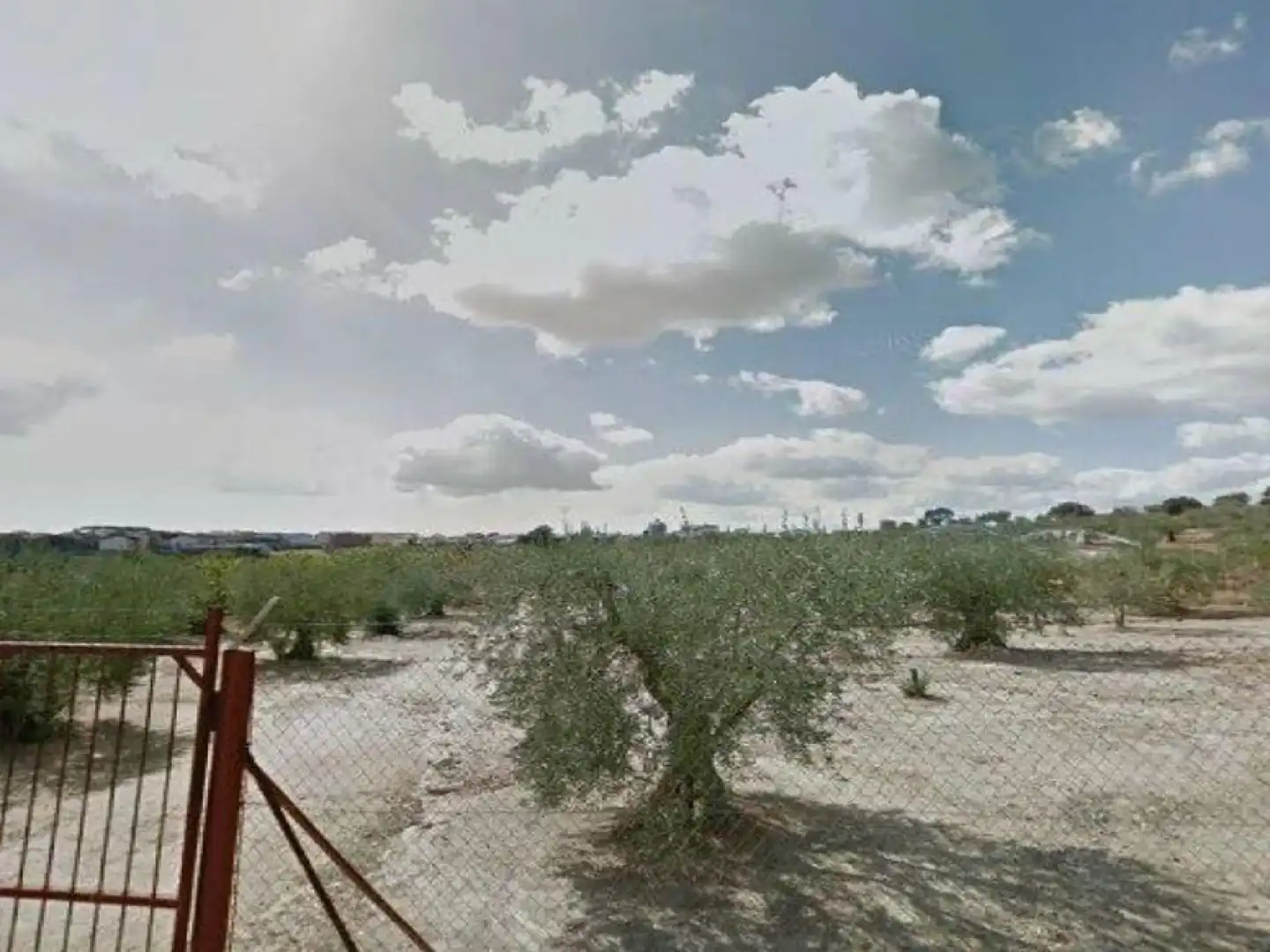 Land for sale in Miajadas