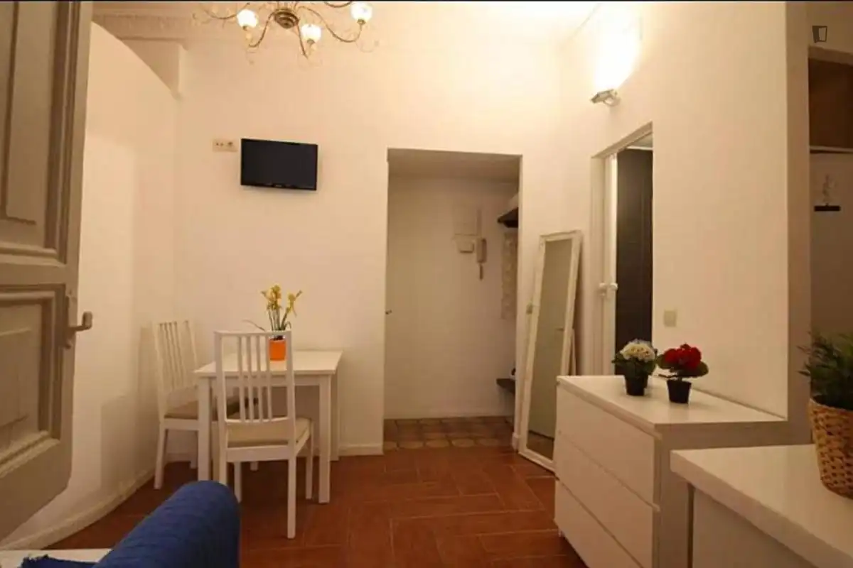 Apartment to rent in Centro, imagen 17