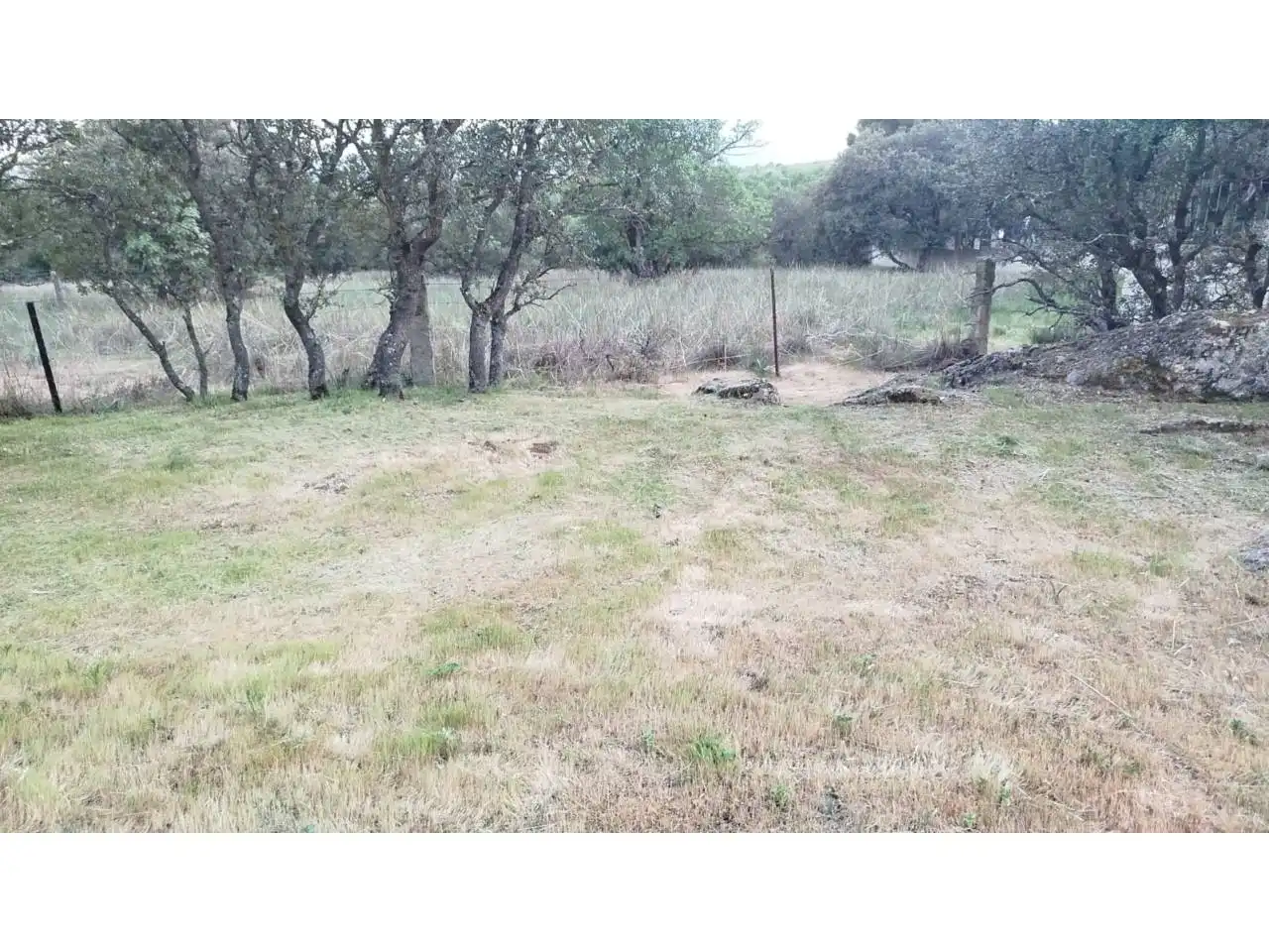 Terreny rústic en venda a Villavieja del Lozoya, imagen 4