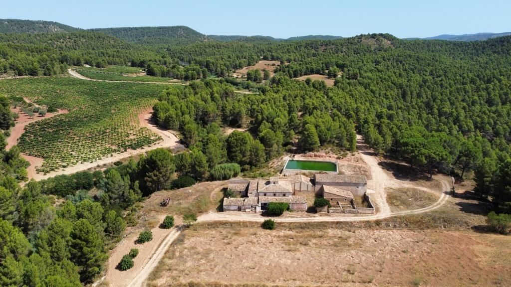 Land for sale in Ayora