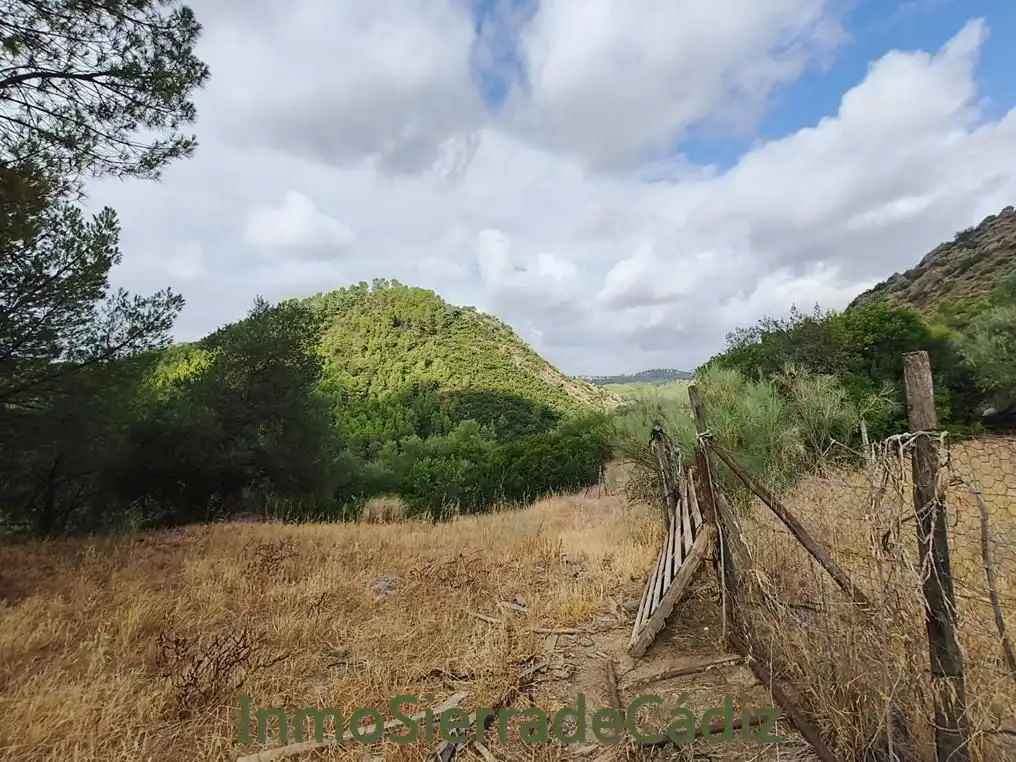 Finca rústica en venda en Algodonales