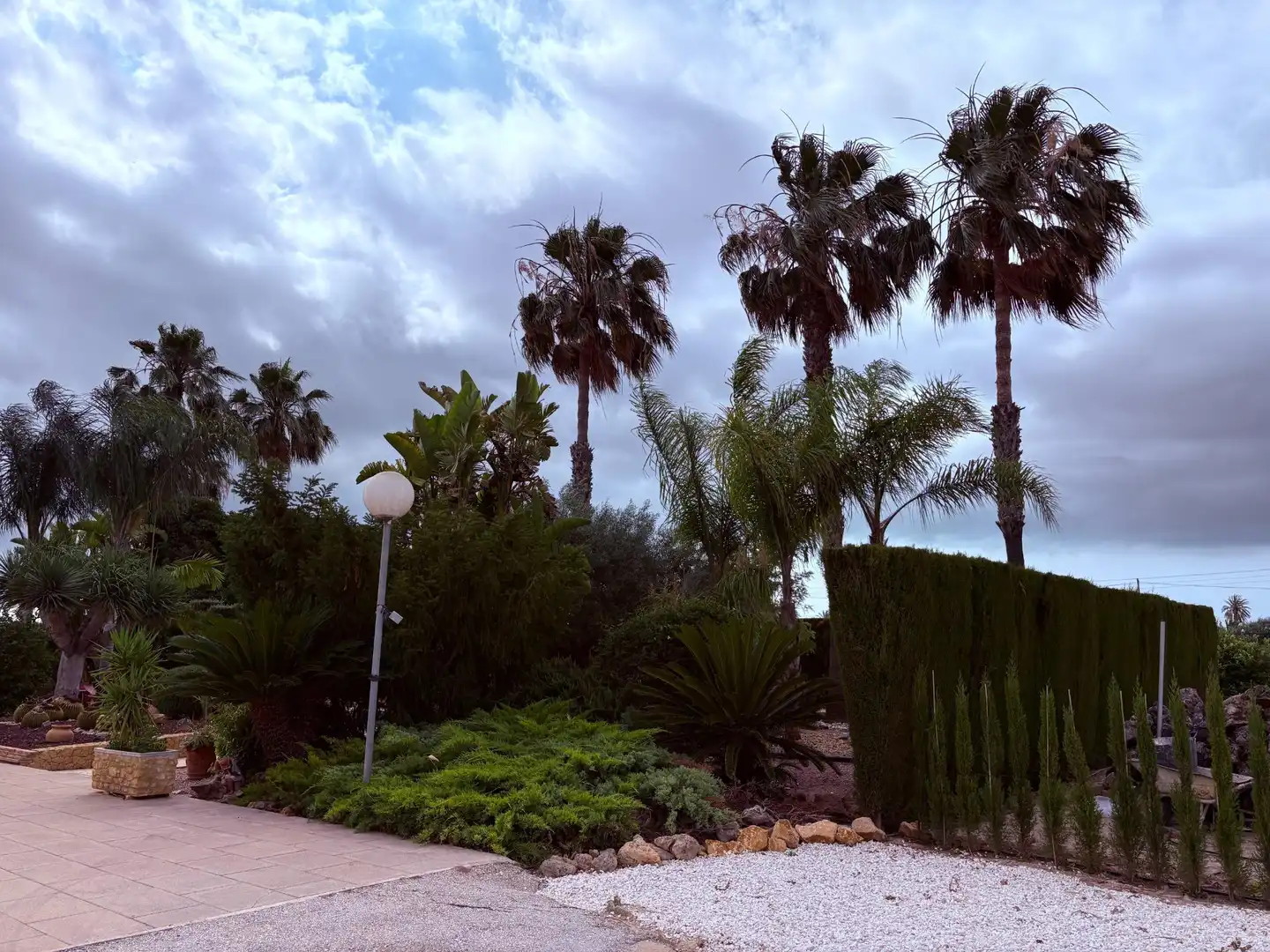 Garden of Houses for sale in Elche / Elx  with Swimming Pool