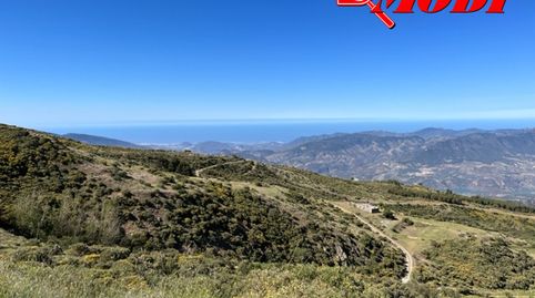 Foto 4 de Finca rústica en venta en Pago de la Lagunilla, S/n, Nigüelas, Granada