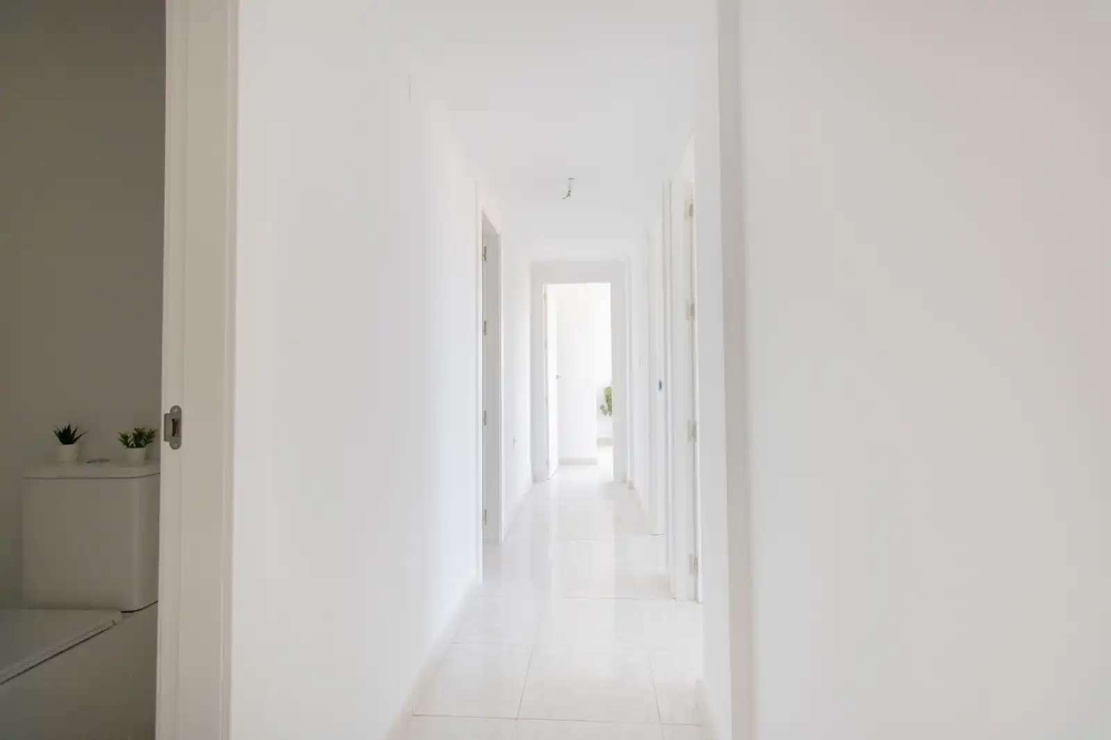 Flat for rent in Algorfa  with Furnished