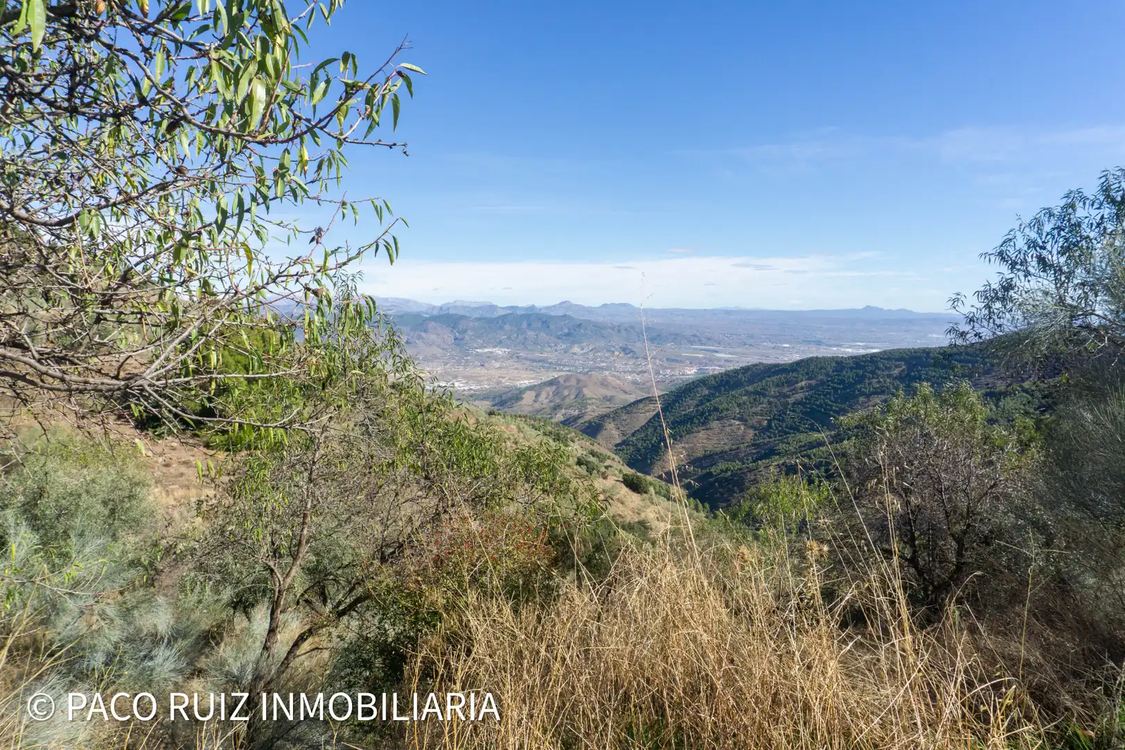 Finca rústica en venta en Purchena