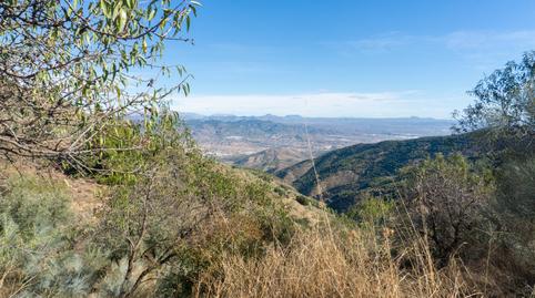 Foto 3 de Finca rústica en venda a Purchena, Almería