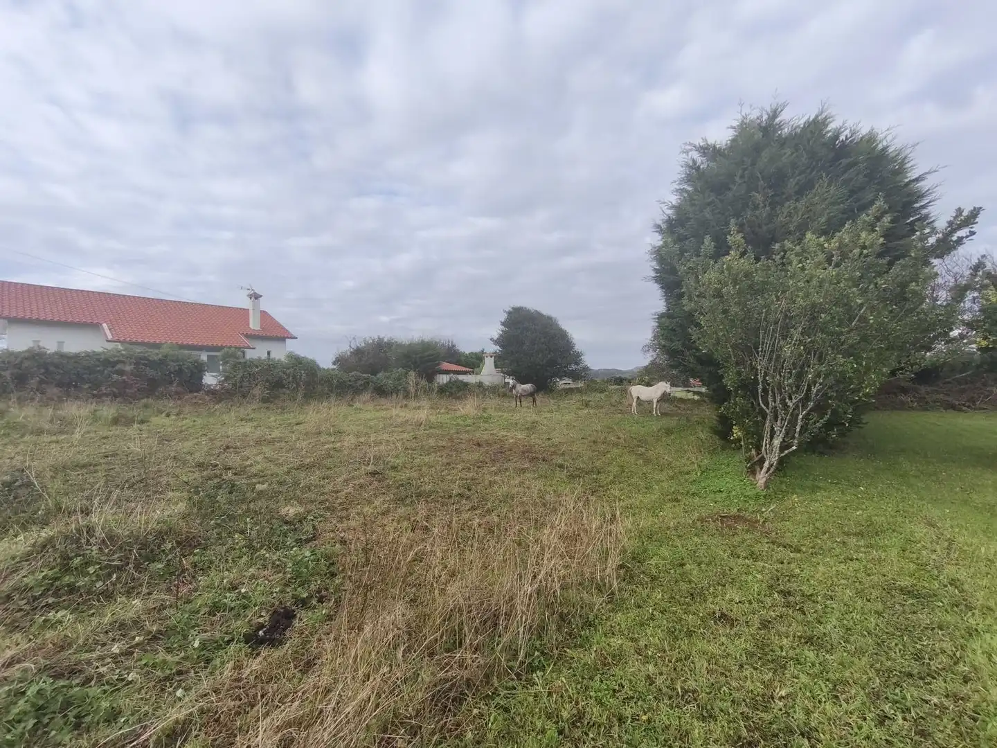 Terreno en venta en Ferrol