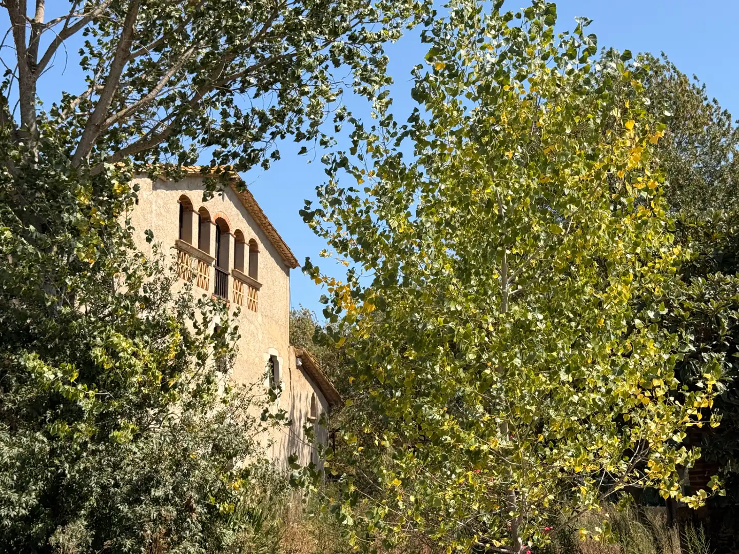 Vista exterior de Finca rústica en venta en Vilobí d'Onyar con Jardín privado