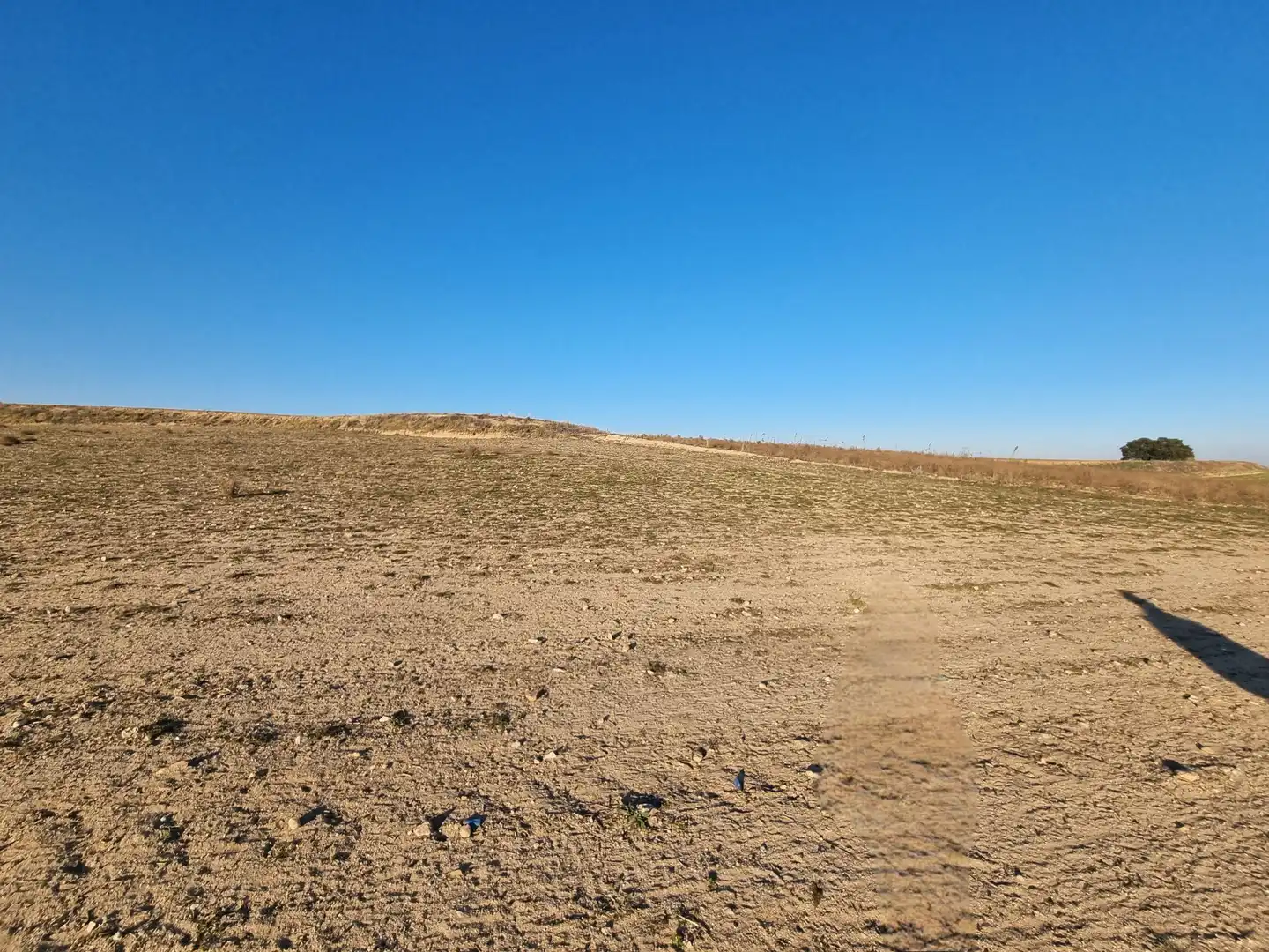 Rural land for sale in El Álamo, imagen 9