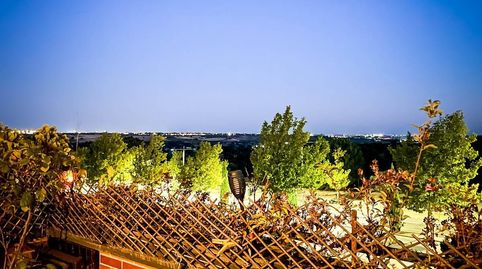 Boadilla del MonteAtico, Bild 4