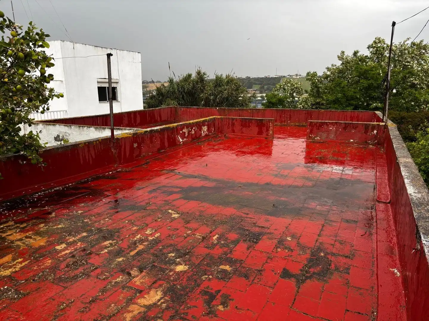 Terrassa de Casa o xalet en venda en Chiclana de la Frontera