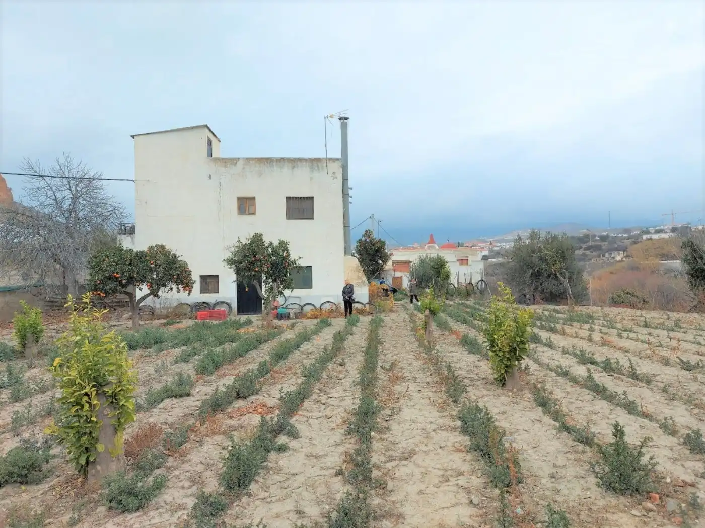 Casa o chalet en venta en Ugíjar